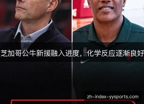 芝加哥公牛新援融入进度，化学反应逐渐良好
